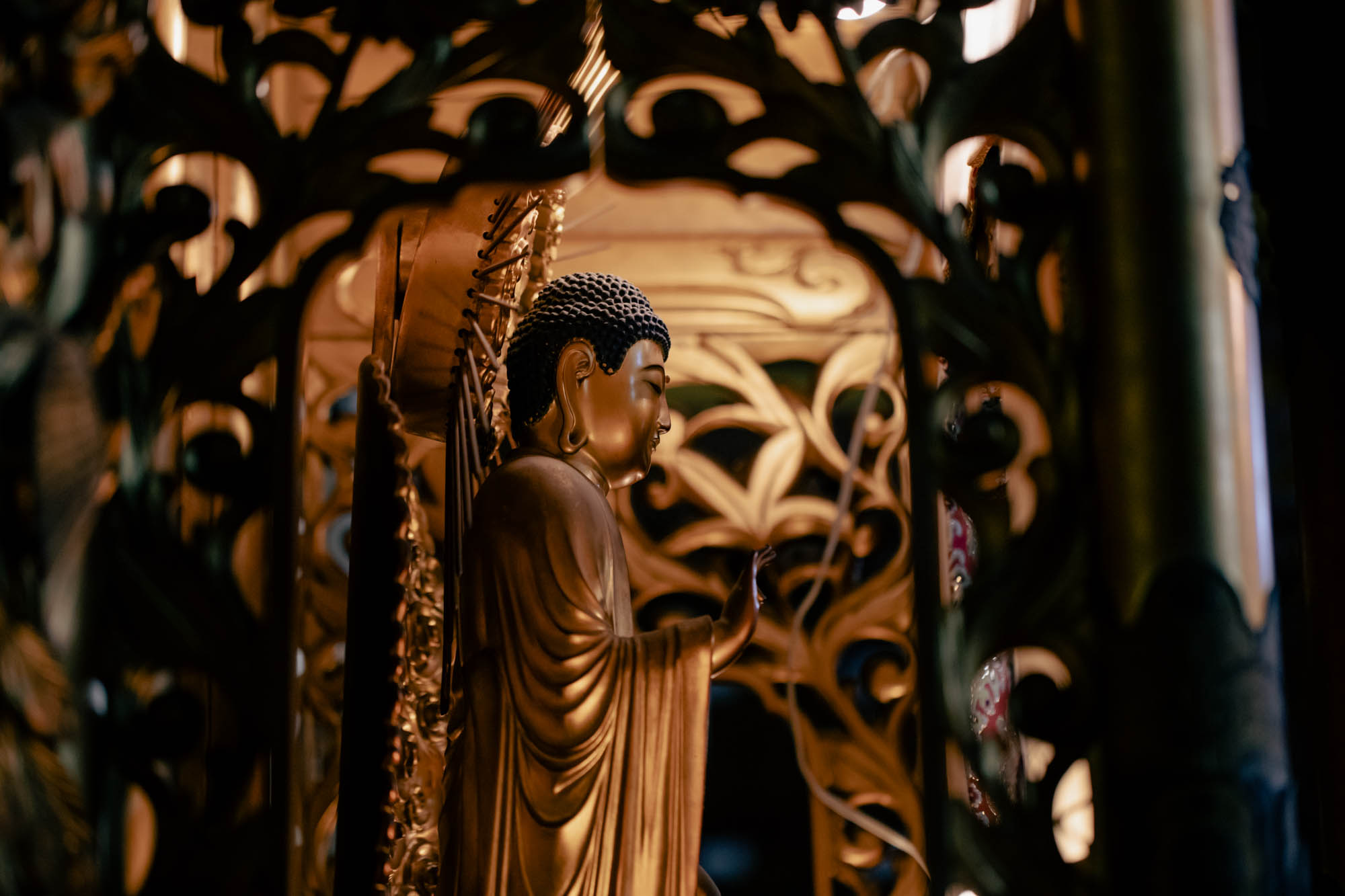 imagem sobre Conheça o Templo Honpa Hongwanji do Brasil